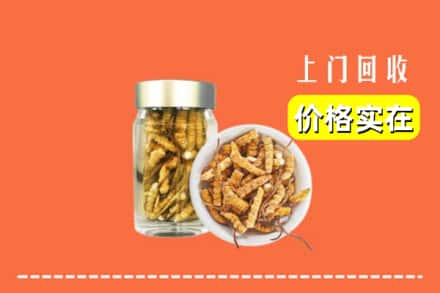 收购资讯:赣州石城县回收散虫草