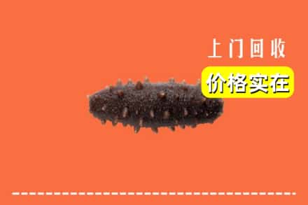 收购资讯:赣州石城县回收海参